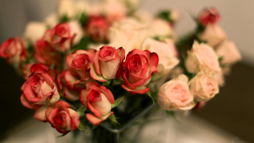 1753023 (a): :1920x1080